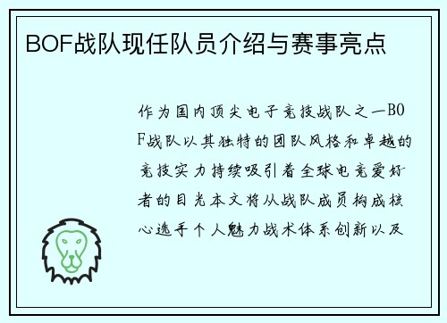 BOF战队现任队员介绍与赛事亮点