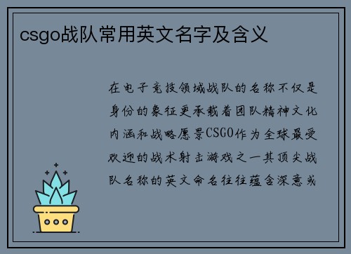 csgo战队常用英文名字及含义